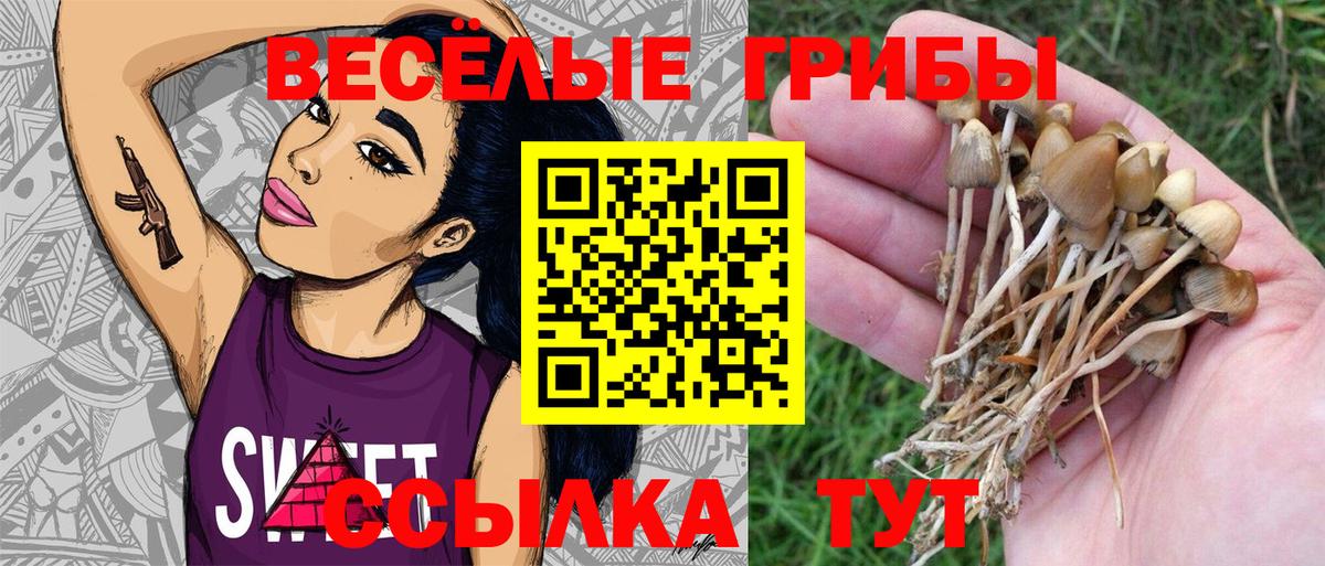 Псилоцибиновые грибы Psilocybine cubensis  Вход с VPN  закладка  Екатеринбург 
